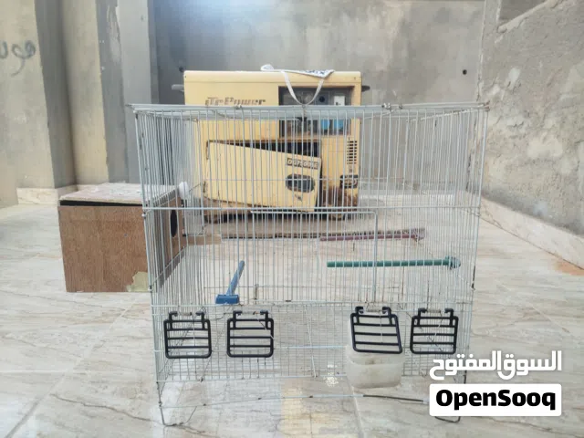 قفص كبير للبيع متع كوكتيل