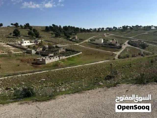 Residential Land for Sale in Mafraq Bala'ama