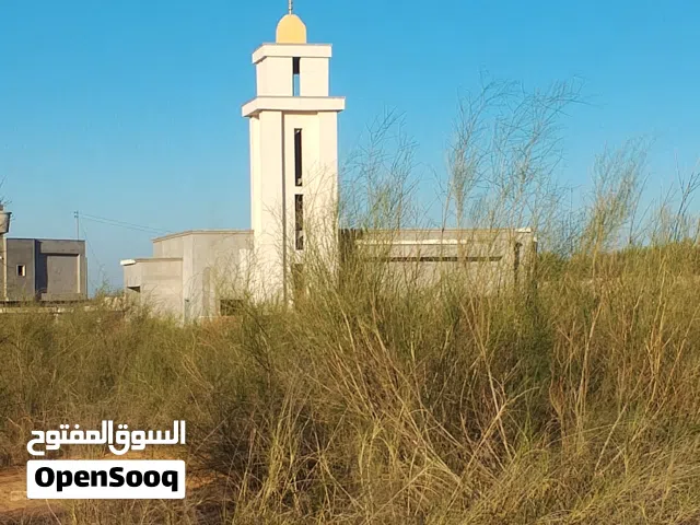 Farm Land for Sale in Tripoli Wadi Al-Rabi