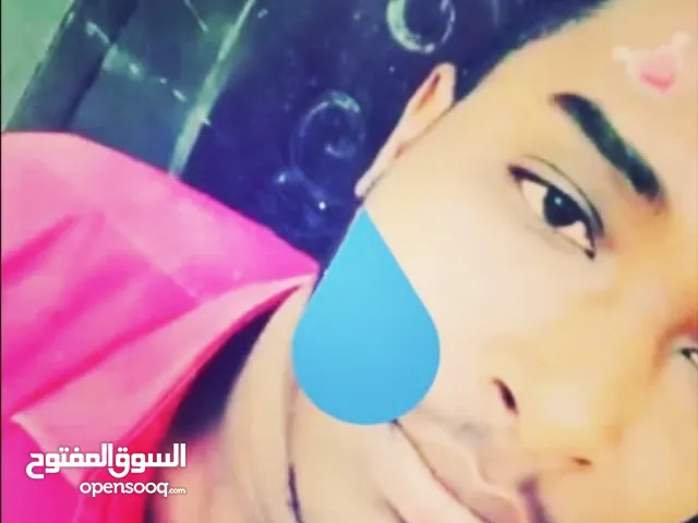 tarig abd alla ahmed mohamed babiker