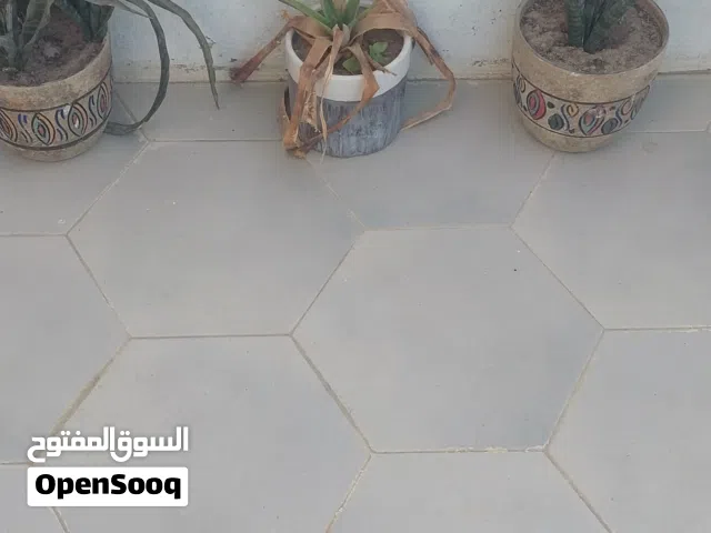 أشجار للبيع مع الفازات