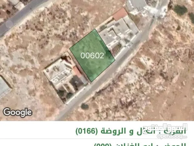 Residential Land for Sale in Amman Naour