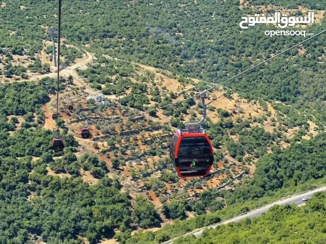Farm Land for Sale in Ajloun Downtown