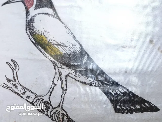 حسوووووووون