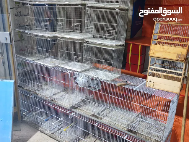 واجهة قفاص طيور تصلح للمحلات والمربين