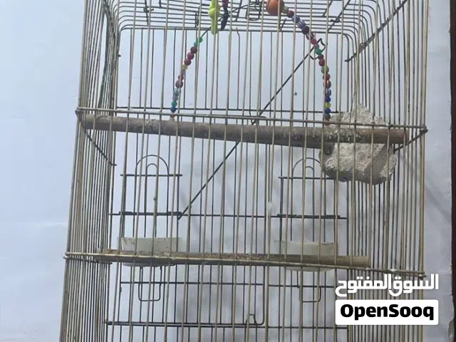 قفص حديد جبير