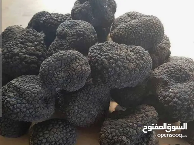 بيع الكمأة السوداء من الدرجة الأولى