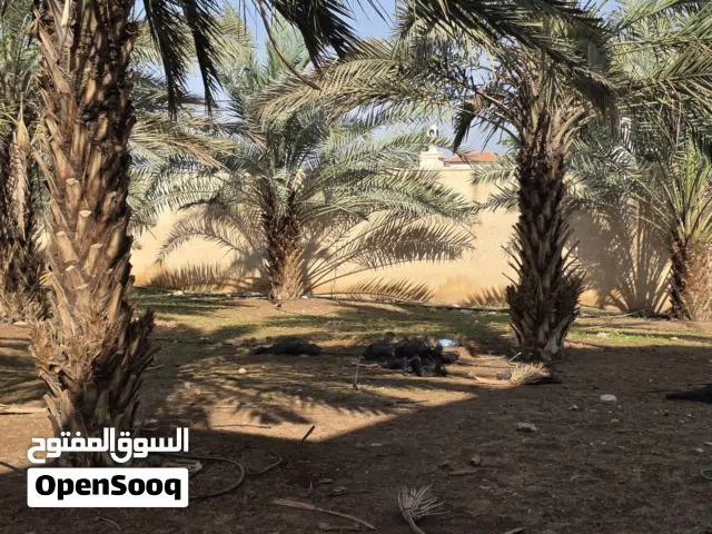 ارض للبيع شارع محمد الدرة