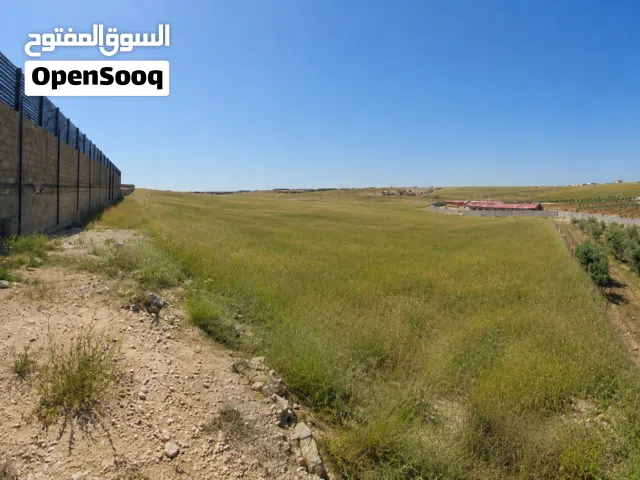 Farm Land for Sale in Amman Swefieh