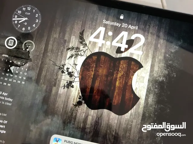 Apple iPad Pro 256 GB in Tripoli