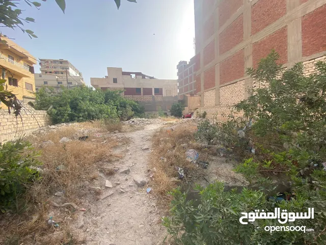 Residential Land for Sale in Alexandria Nakheel