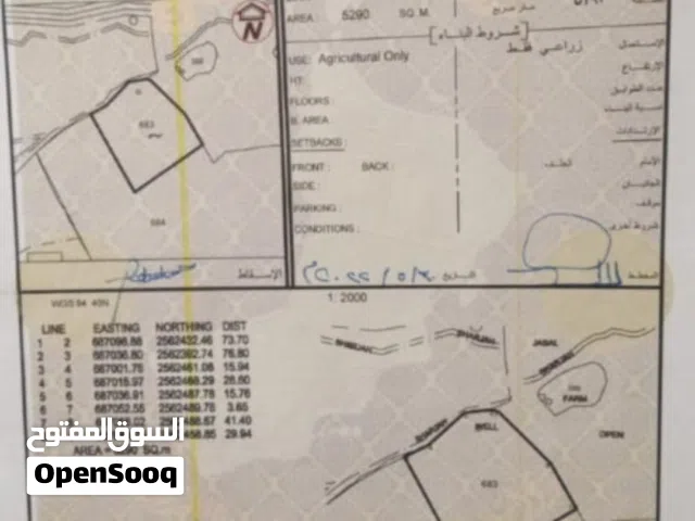 Farm Land for Sale in Muscat Quriyat
