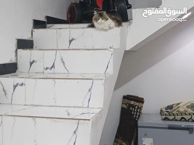 ملابس بات باد