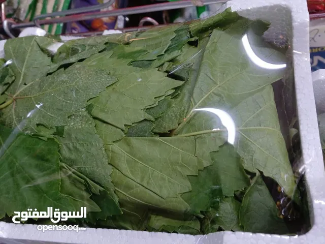 ورق عنب فريش انتاج شهر 5و4