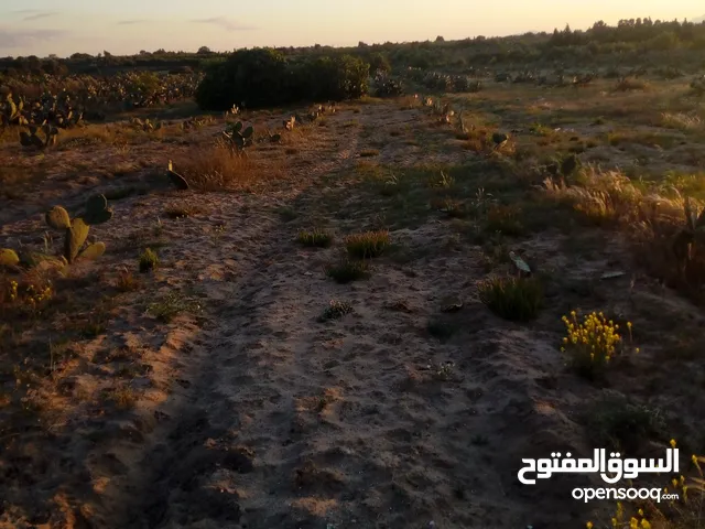 أرض.على طريق