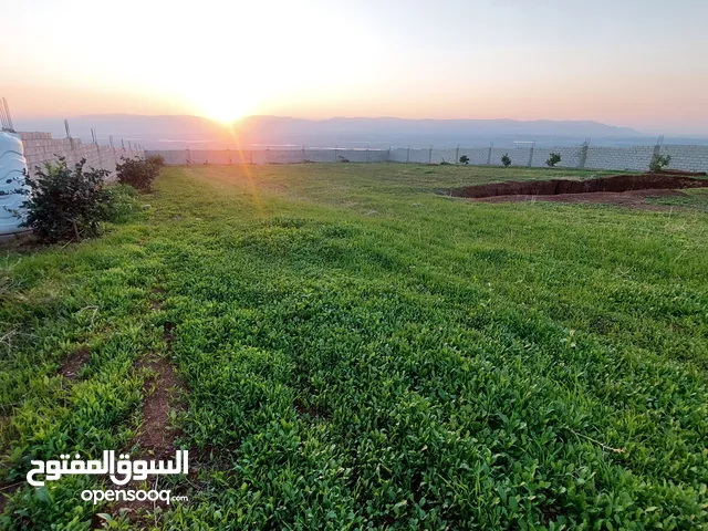 Mixed Use Land for Sale in Irbid Tabaqet Fahel