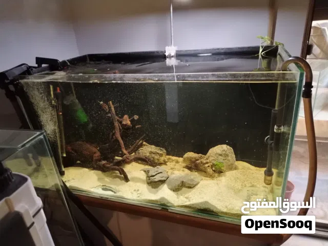 حوض سمك 202 لتر