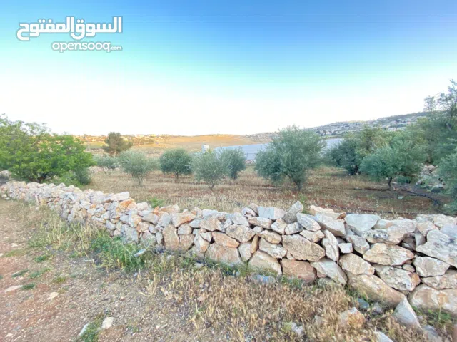 Farm Land for Sale in Bethlehem Jannata