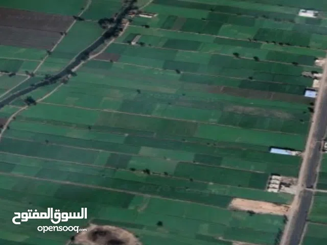 Farm Land for Sale in Gharbia Mahalla al-Kobra