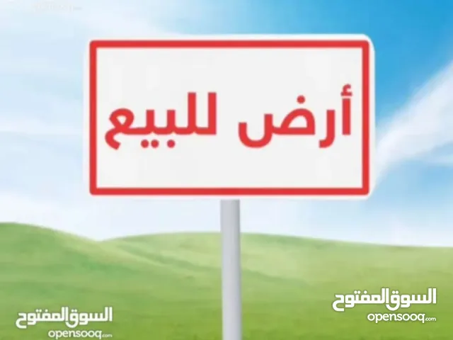 أرض على الطريق الواصل نحو الظاهرية ( واد كلاب ) - مباشرة من المالك