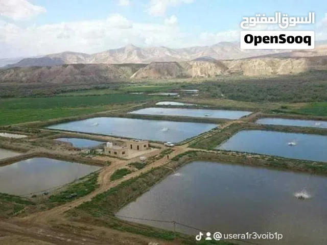 Farm Land for Sale in Jordan Valley Other