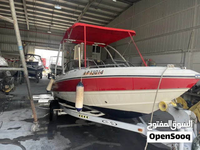 2011 Stingray 19.5LS