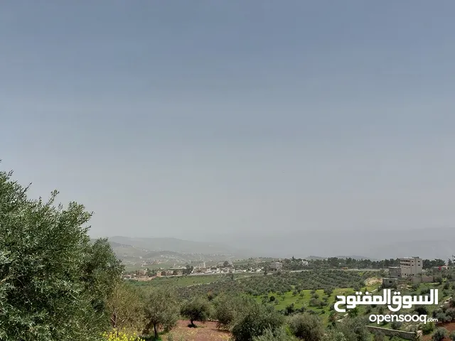ارض  مميزه 4  دونمات عنيبه بالقرب من مزرعة معالي محمد نوح القضاه