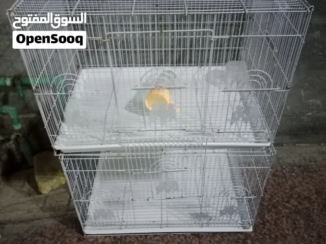 اقفاص حديد جديده