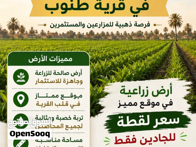 Farm Land for Sale in Monufia Other