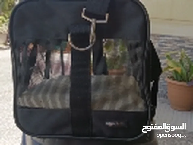 شنطة حيوانات