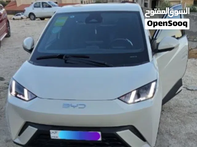 2024 بي واي دي سيجول