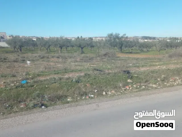 Mixed Use Land for Sale in Zaghouan Other