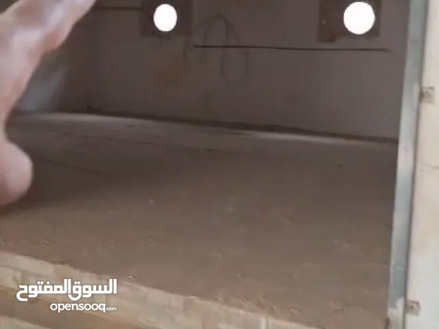 إعلان إيجار ورشه صناعية