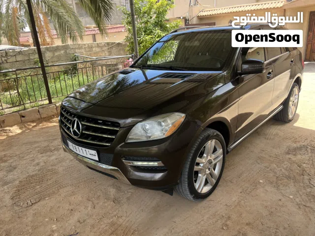 2014 Mercedes Benz M-Class ML 350
