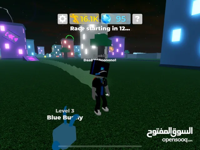 Cool Roblox account