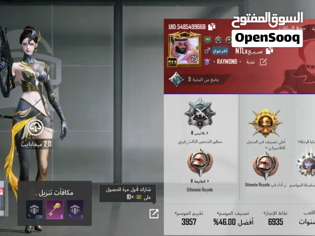 Pubg Accounts and Characters for Sale in Adıyaman