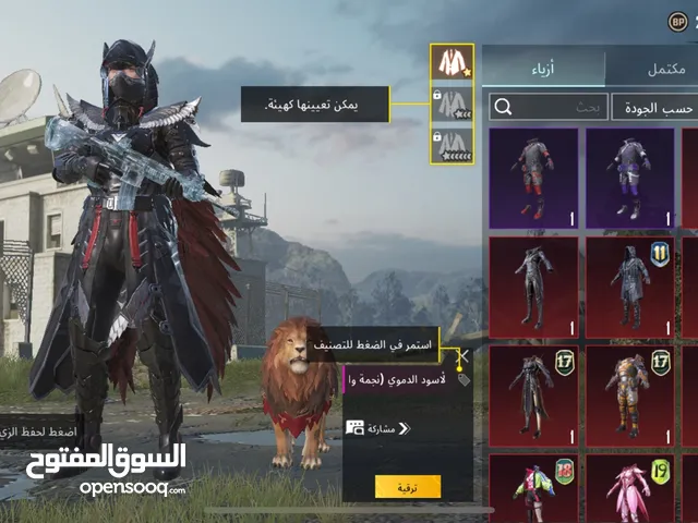 Pubg Accounts and Characters for Sale in Irbid
