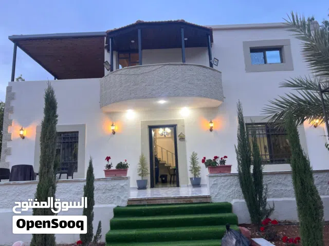Farm Land for Sale in Amman Mahes