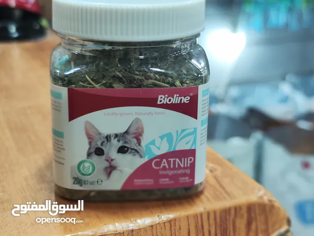 يا صاحبي! يبدو أن قطتك في طريقها لقضاء وقت ممتع! هل سبق لك أن جربت زراعة النعناع البري الخاص بك؟