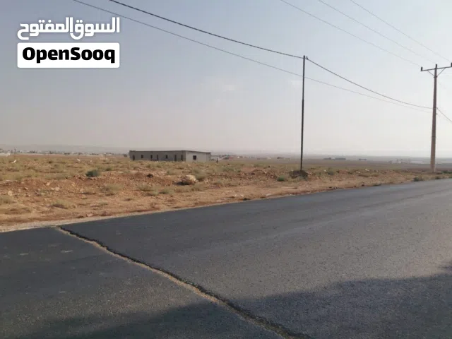 ارض في الرمثا البويضة
