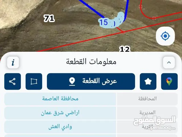 فرصة استثمارية ارض 4 دونم بوادي العش قريبة من شارع المية
