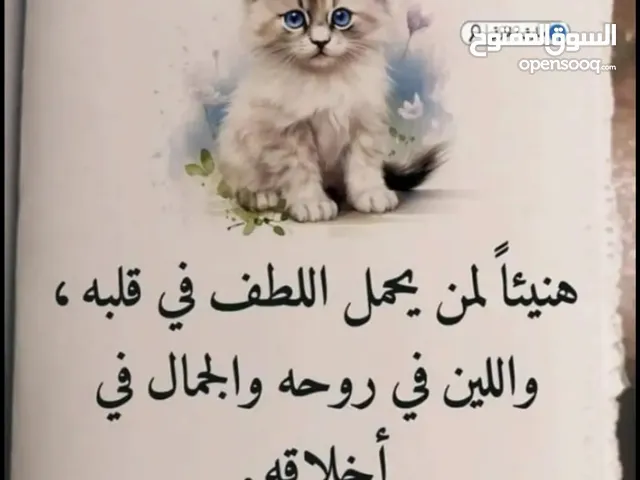Alkhader