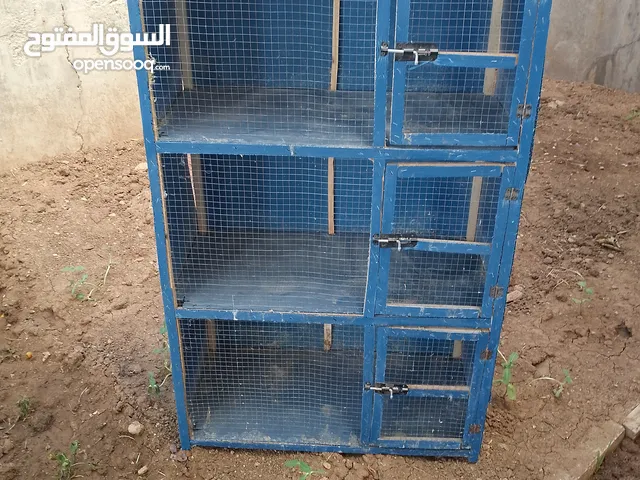 مطلوب في عشر دنانير