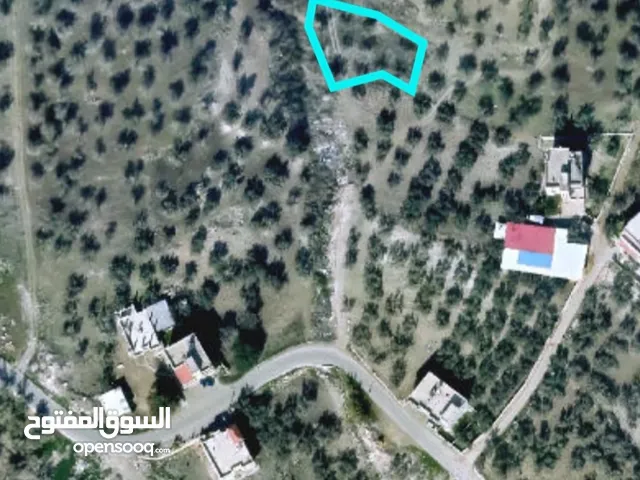 Residential Land for Sale in Nablus Burqa