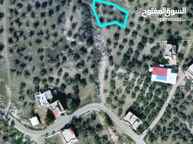 Residential Land for Sale in Nablus Burqa