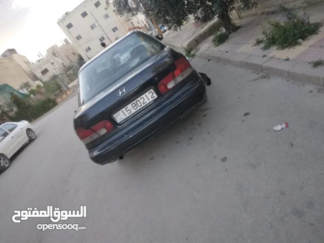 Hyundai Elantra  in Zarqa