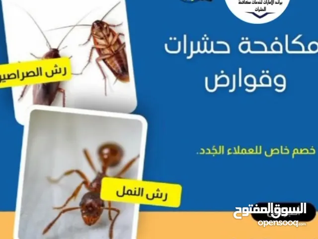 شركة مكافحة حشرات وأعمال الرمه وتركيب طارد الحمام