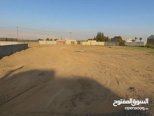 أرض للبيع في العوجا – أريحا