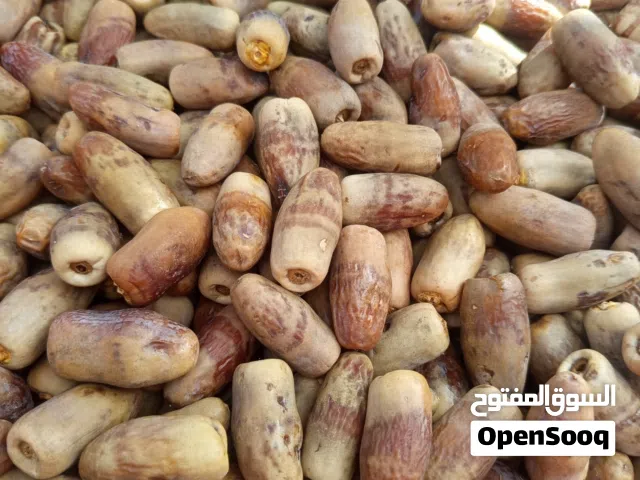 للبيع سح نغال جريجرو