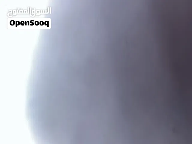 مطلوب حمام شول